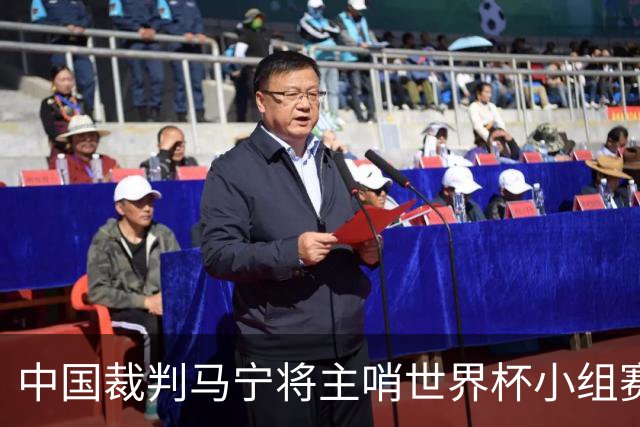 中国裁判马宁将主哨世界杯小组赛第二轮比赛
